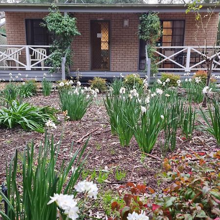 Barossa Country Cottages Lyndoch Exterior foto